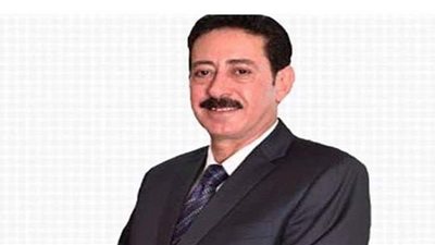 عضو يالشيوخ: ملف الصحة على رأس أولوياتى