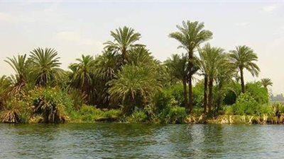 الري: 13 محافظة تتأثر بارتفاع منسوب نهر النيل إلى 120 سم