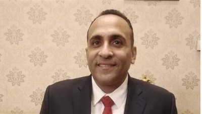 نائب بالشيوخ: الغرفة التشريعية الثانية تسهل عملية التشريع في البلاد