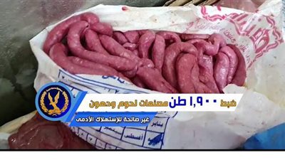 مصادرة 6 أطنان لحوم ودواجن فاسدة  و379 ألف كمامة غير مطابقة للمواصفات | فيديو