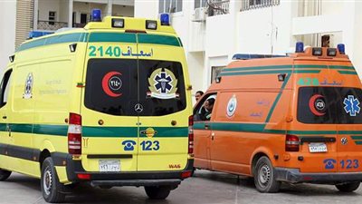 مصرع مسن في حادث سير ببورسعيد