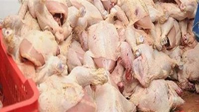مصادرة 3 أطنان دواجن فاسدة داخل مجزر في عين شمس