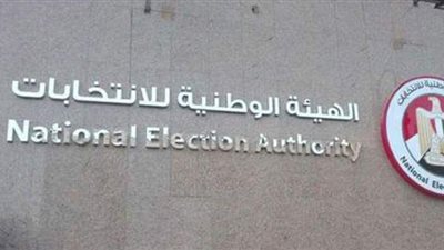 دعوى قضائية لوقف انتخابات النواب.. مدة المجلس القائم تنتهي في 14 يناير.. وتؤكد: الانتخابات مخالفة لقرار حظر التجمعات بسبب كورونا