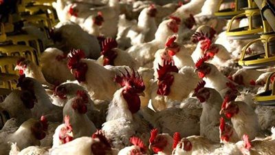 بعد توقف 14 عاما.. الإمارات ترحب بعودة 