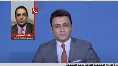 خبير علاقات دولية: السياسة المصرية شريفة في زمن عز فيه الشرف