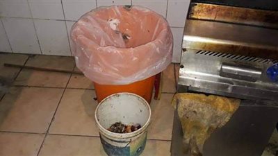 تحرير ٣ مذكرات غلق لمنشآت غذائية بمدينة أبو دهب بجنوب سيناء