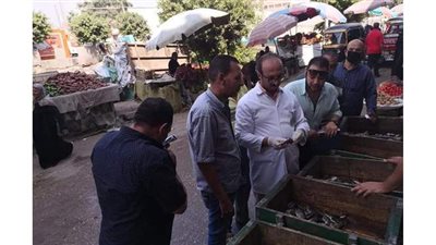 إعدام لحوم وأسماك غير صالحة في حملة  على الأسواق  بالدقهلية