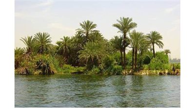 الري: الخسائر الناتجة عن فيضان النيل مادية وليست بشرية