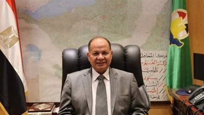 محافظ أسيوط يناقش برنامج التنمية المحلية للصعيد مع ممثلي البنك الدولي