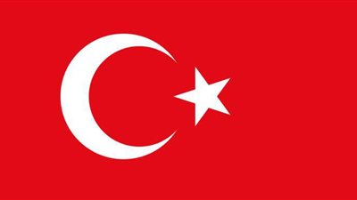 تقرير: وثائق فينسن تفضح تورط بنك تركي في تمويل مواقع إباحية