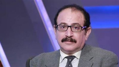 أستاذ سياسة يطالب باندماج الأحزاب الصغيرة فى كيانات كبرى