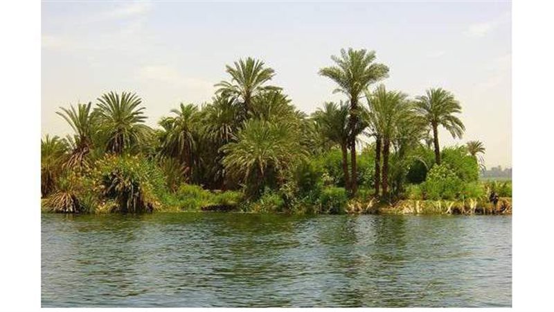مياه نهر النيل