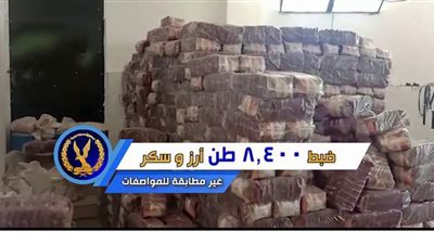 مصادرة 20 طن كبدة وأسماك ولحوم فاسدة قبل بيعها للمواطنين | فيديو