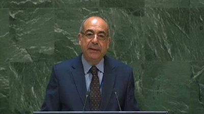 مندوب مصر بالأمم المتحدة:  لن نقبل أن يجور أحد على مصالحنا في مياه النيل