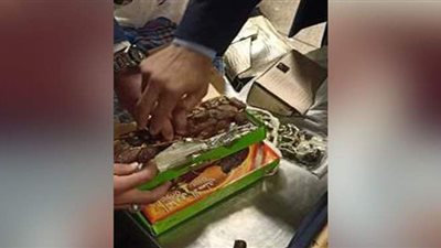 ضبط حشيش وترامادول داخل  أكياس تمر بحوزة راكب في مطار القاهرة