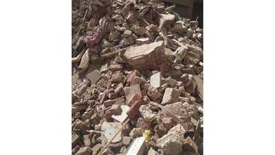 رفع 80 طن رديم غرب الإسكندرية