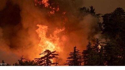 تحطم طائرة تدريب عسكرية في أوكرانيا| فيديو