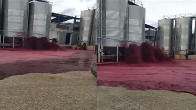 بسبب عيب في الخزان.. نبيذ أحمر يغمر ساحة أكبر مصنع للخمور بإسبانيا | فيديو