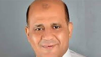 برلماني: التحول نحو السيارات الكهربائية يخلق فرص عمل للشباب