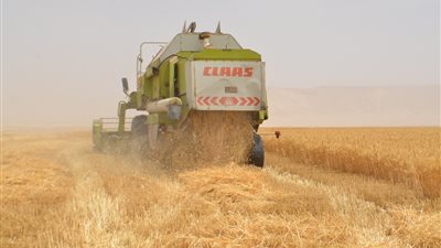 محافظ قنا: جني ثمار مشروع 1.5 مليون فدان بالمراشدة (صور)