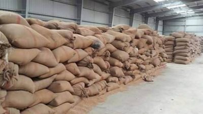 توريد 165 ألفا و306 أطنان قمح مجمعة بـ27 شونة في الغربية