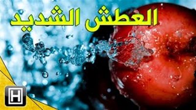 بالفيديو.. 3 أطعمة تجنبك العطش خلال نهار رمضان