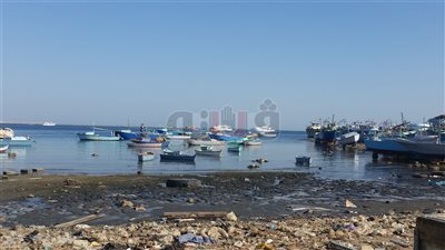 بالصور.. حلقة السمك في الغردقة بركة مجاري