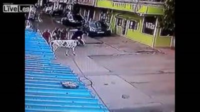 بالفيديو.. لص يختطف سلسلة من سيدة في الهند