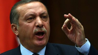 «أردوغان» يقاضي صحفيا بسبب كتابه عن العلاقات التركية الأمريكية