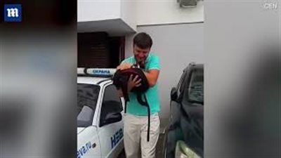 بالفيديو والصور.. رجل يتلقف قطة لحظة سقوطها من نافذة