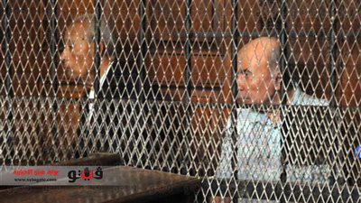 بالصور..الشهود في 