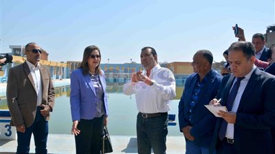 وزيرة التخطيط تتفقد حمام السباحة الأوليمبي بالأقصر