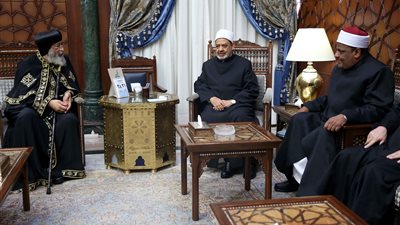 بالفيديو .. تفاصيل لقاء شيخ الأزهر بالبابا تواضروس