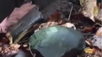 بالفيديو.. شاهد ما فعلته امرأة بحديقة جارها