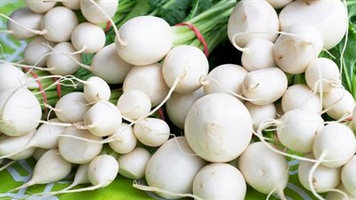 رجيم الفجل لإنقاص 9 كيلو جرامات من الوزن الزائد في أسبوع