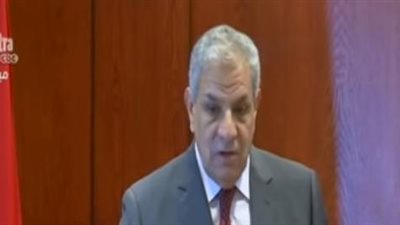 بالفيديو.. وزير الاتصالات: 11.3 مليون مواطن يعملون باليومية