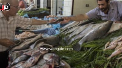 «التموين»: لا زيادة في أسعار الأسماك بالمجمعات الاستهلاكية خلال شم النسيم (صوت)