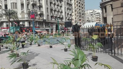 بالصور.. دار القضاء العالي تتزين لاستقبال السيسي.. غدا