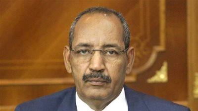وزير داخلية موريتانيا: الاستفتاء على تعديل الدستور لن يؤجل