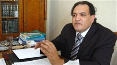 «حقوق الإنسان في فلسطين المحتلة».. ندوة المنظمة المصرية بجنيف