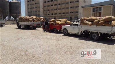 توريد 7500 طن قمح بشون الزرقا بدمياط