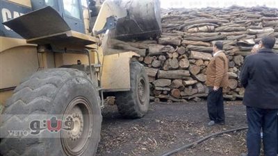 بالصور.. إزالة 7 مكامير للفحم بطوخ في القليوبية