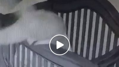 موقف محرج لامرأة حاولت وضع حفيدها في سريره (فيديو)