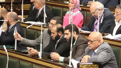 بالصور..«برلمانية النور» تودع 4 فتاوى بجواز ختان الإناث في مضبطة الجلسة