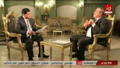 بالفيديو.. الإحصاء: 600 مليون جنيه تكلفة التعداد السكاني 2016