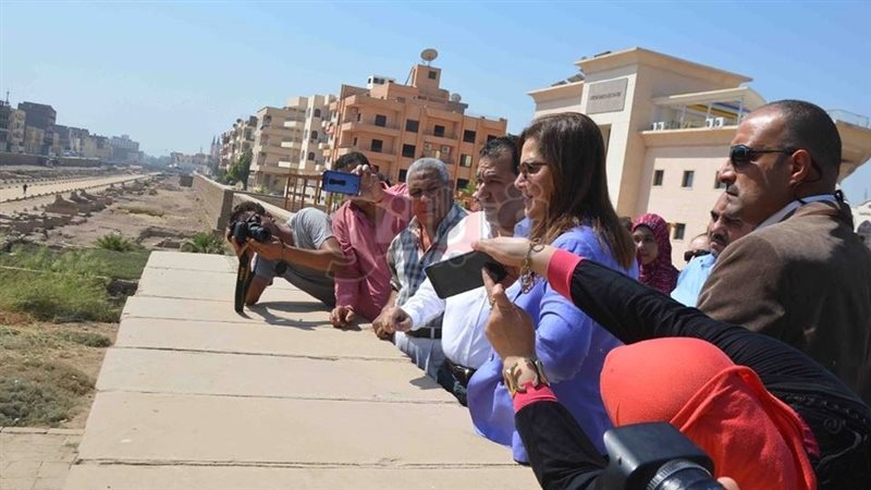 فيتو