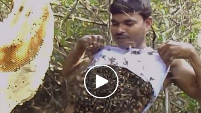 متهور يضع مئات من النحل أسفل ملابسه (فيديو)