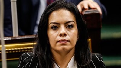 «موازنة البرامج والأداء» تقضي على الفساد بقطاعات الدولة.. اقتراح برلماني لتطبيق التجربة بـ8 وزارات.. سلفيا نبيل: رئيس الوزراء متحمس للفكرة.. ومصادر: مافيا سرقة أموال الشعب تحاربها