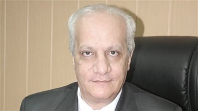 الآثار: ضبط 9 قطع أثرية من العهد الروماني واليوناني بميت رهينة