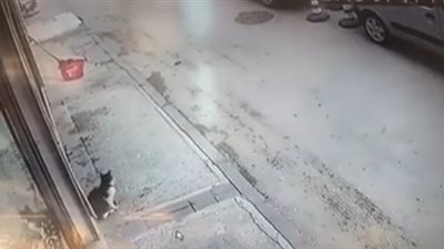 قطة تضع شابا في موقف محرج بالشارع (فيديو)